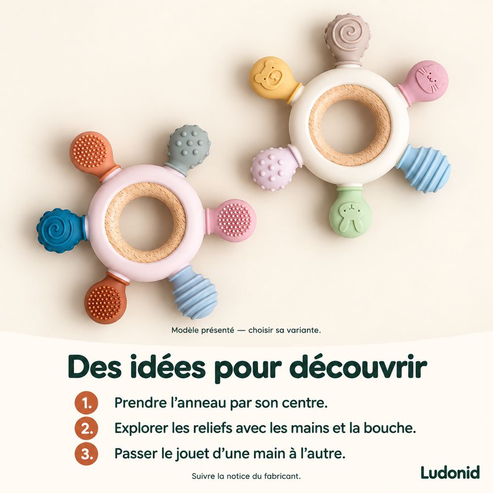 Anneau de dentition à six textures — Bois et silicone — idées de jeu et utilisation en français