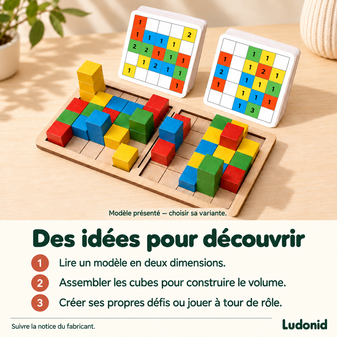 Cubes de logique 3D et cartes défis — idées de jeu et utilisation en français